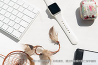 芝加哥大學留學生活費多少錢？