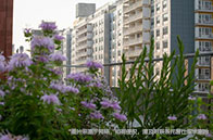 新加坡大學管理專業排名一覽