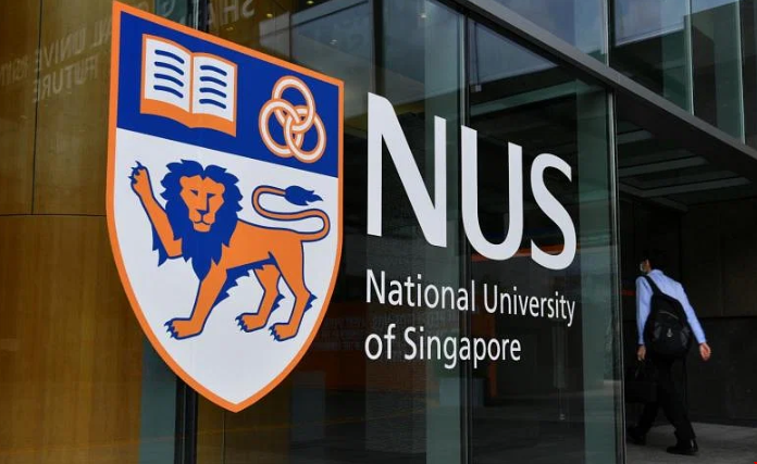 新加坡國立大學研究型項目招生人數.png